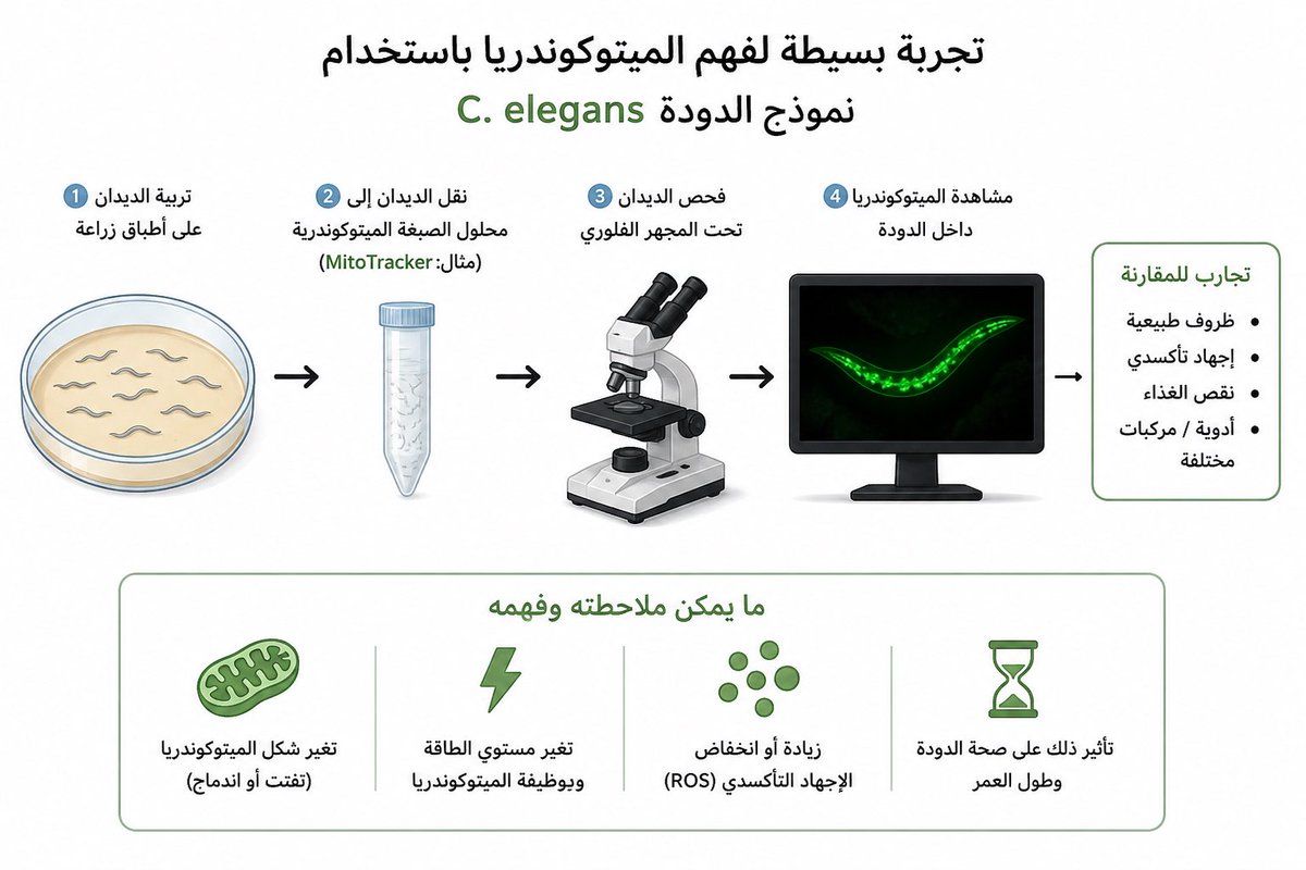 Dr Mazen Ghaith tweet media