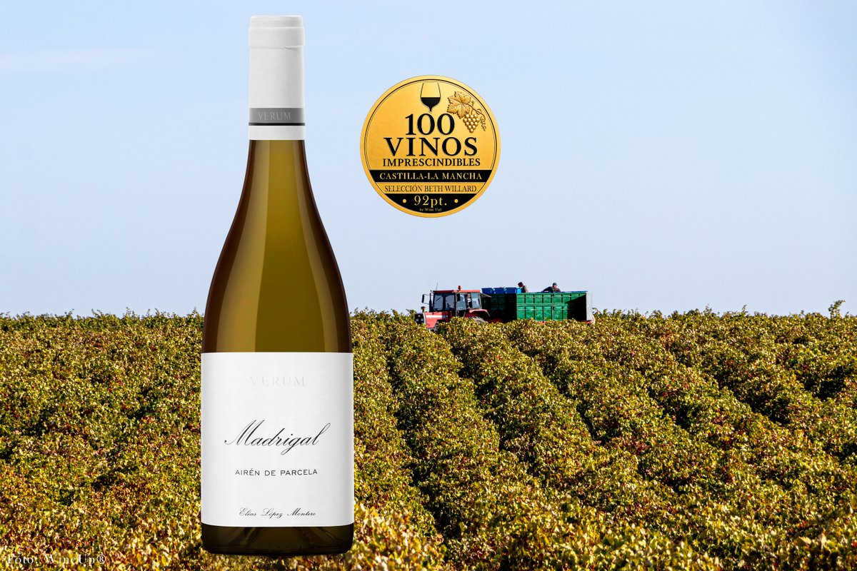 verumbodegas's tweet photo. En la edición 2026 de los "100 vinos imprescindibles de Castilla-la Mancha" seleccionados para Beth Willard, sumamos una puntuación sobresaliente y destacada para vinos #airén. VERUM PARCELA MADRIGAL AIRÉN 2023 obtuvo 92 puntos. La selección se realizó en cata ciega, https://t.co/iQq26EpFAF