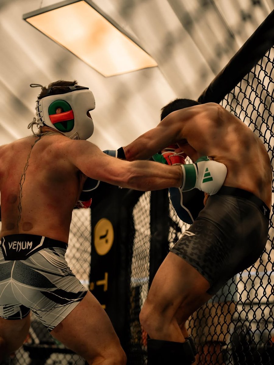 Fighting Media Concept tweet media