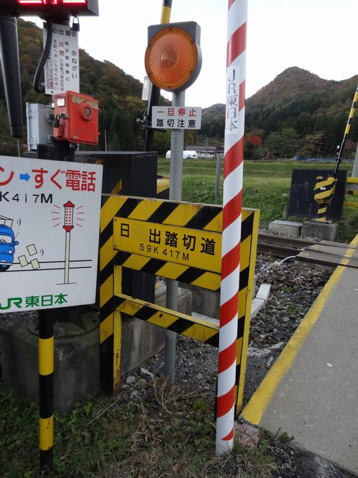 白黒P tweet media