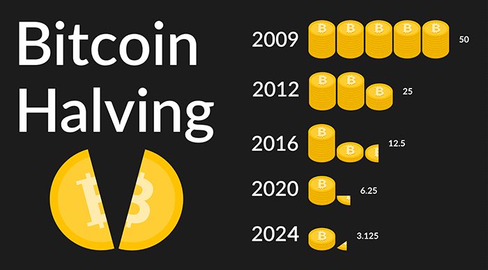 Crypto Insiders tweet media