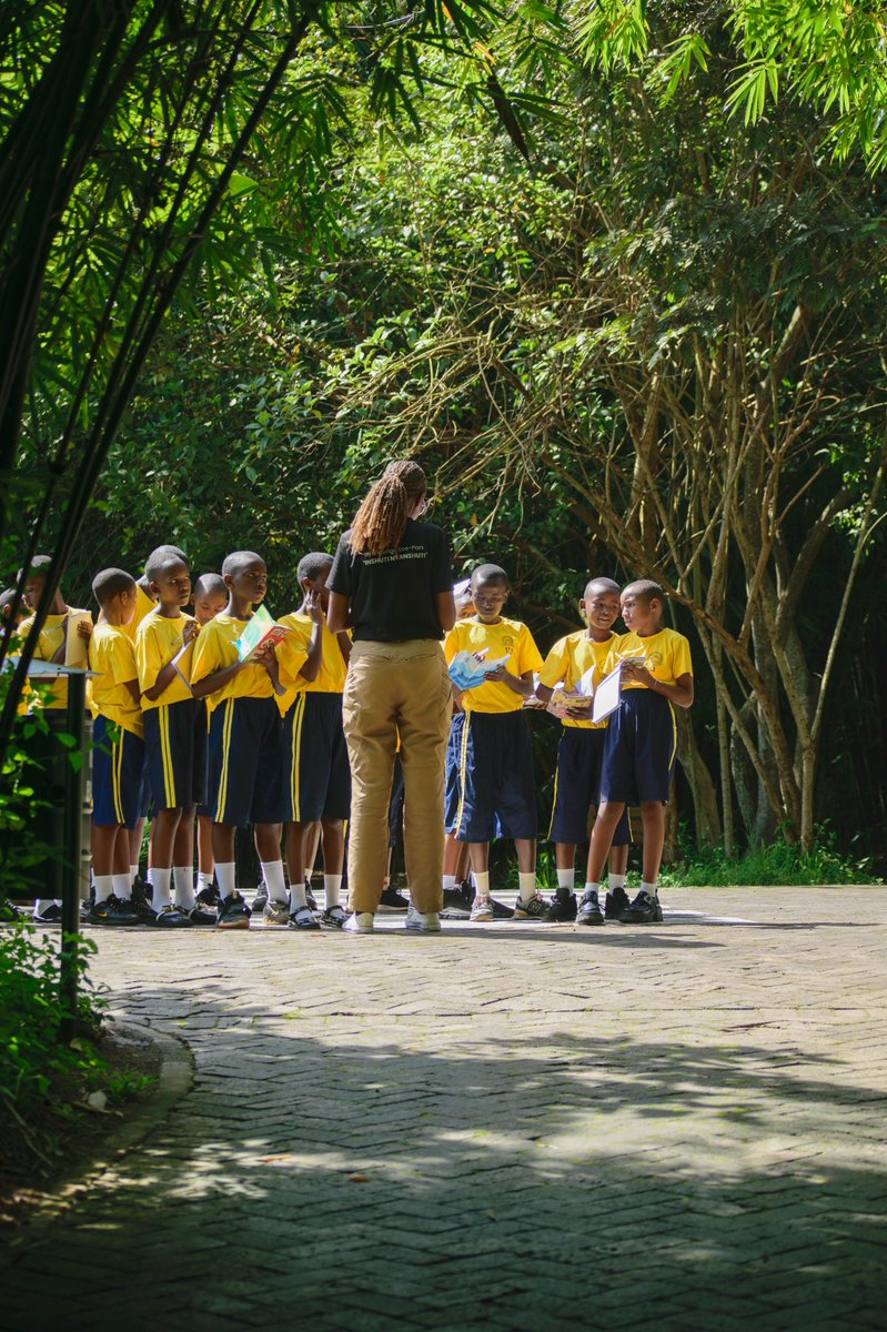 Nyandungu Eco-Park tweet media