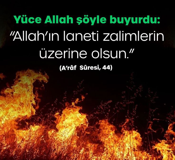 Güler Çekin tweet media