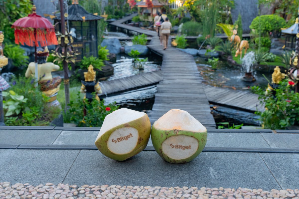 More than just charts &amp; markets 🌊☀️

Bitget Summer Trip brought together amazing creators for a few unforgettable days 🩵

#EventWithBitget #BitgetInBali