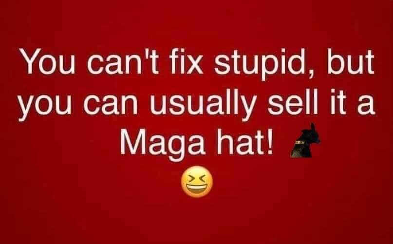 @trumpisacriminal tweet media