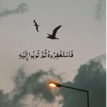 Photo by عبد الواحد (@hr201033)
