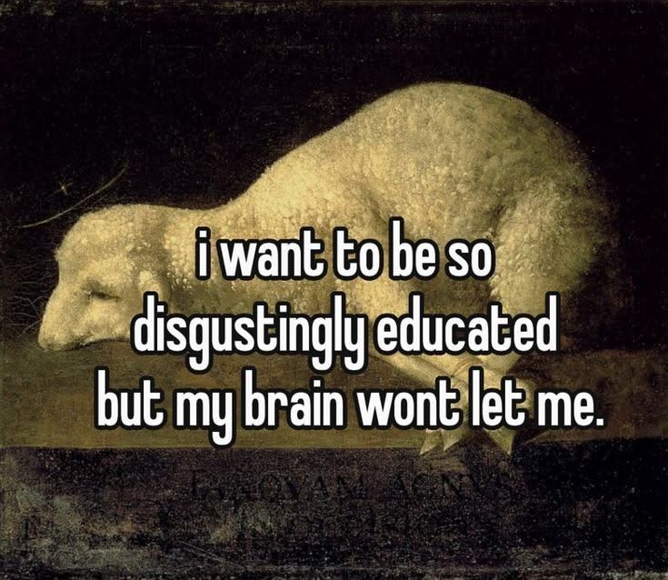 ADHD Memes tweet media