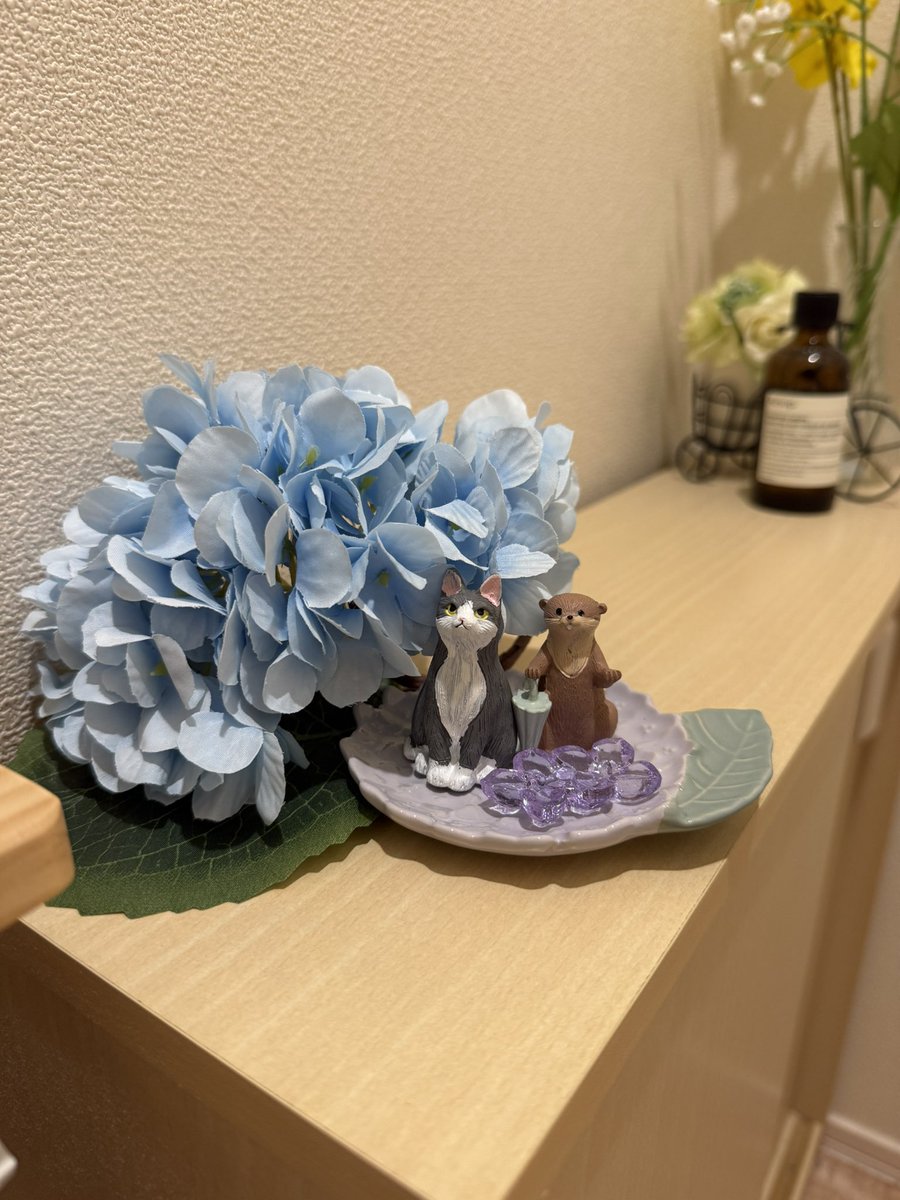 ☺︎志幸🌸❶y tweet media