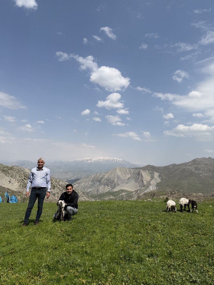 RahmetTAAR's tweet photo. Baharla beraber güzel yaylalarımıza çıkan cefakar koçerlerimizin zor şartlarda hayat mücadelesini yerinde gördük. Tüm koçerlerimize bol bereketli kazasız bir sezon geçirmelerini diliyorum. https://t.co/FJCDgVObxq