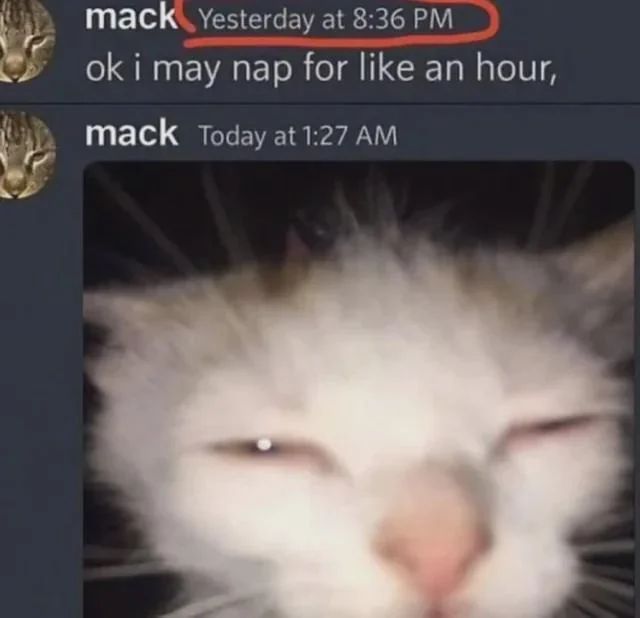 Tweets Of Cats tweet media