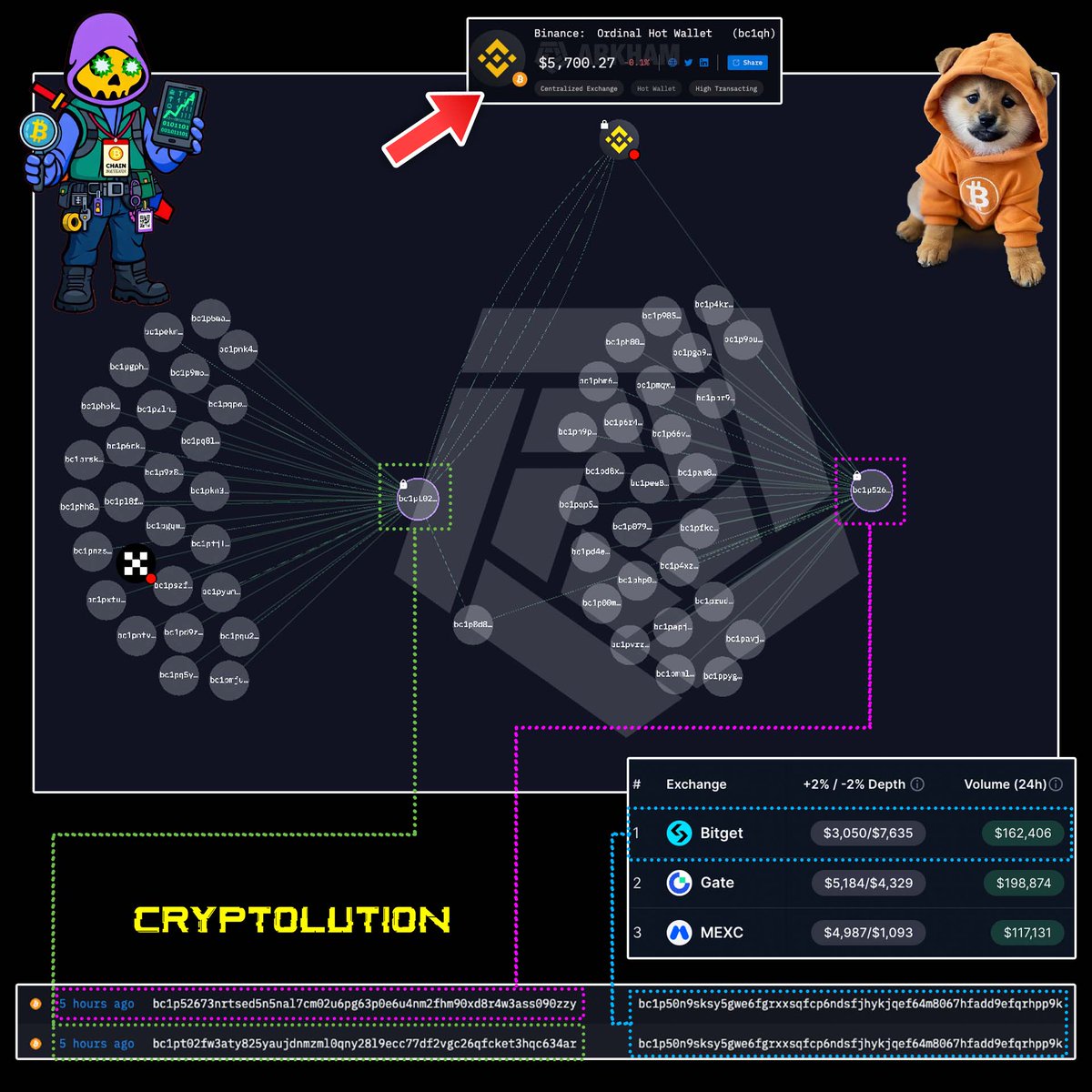 Vincent (Cryptolution) 👑 tweet media
