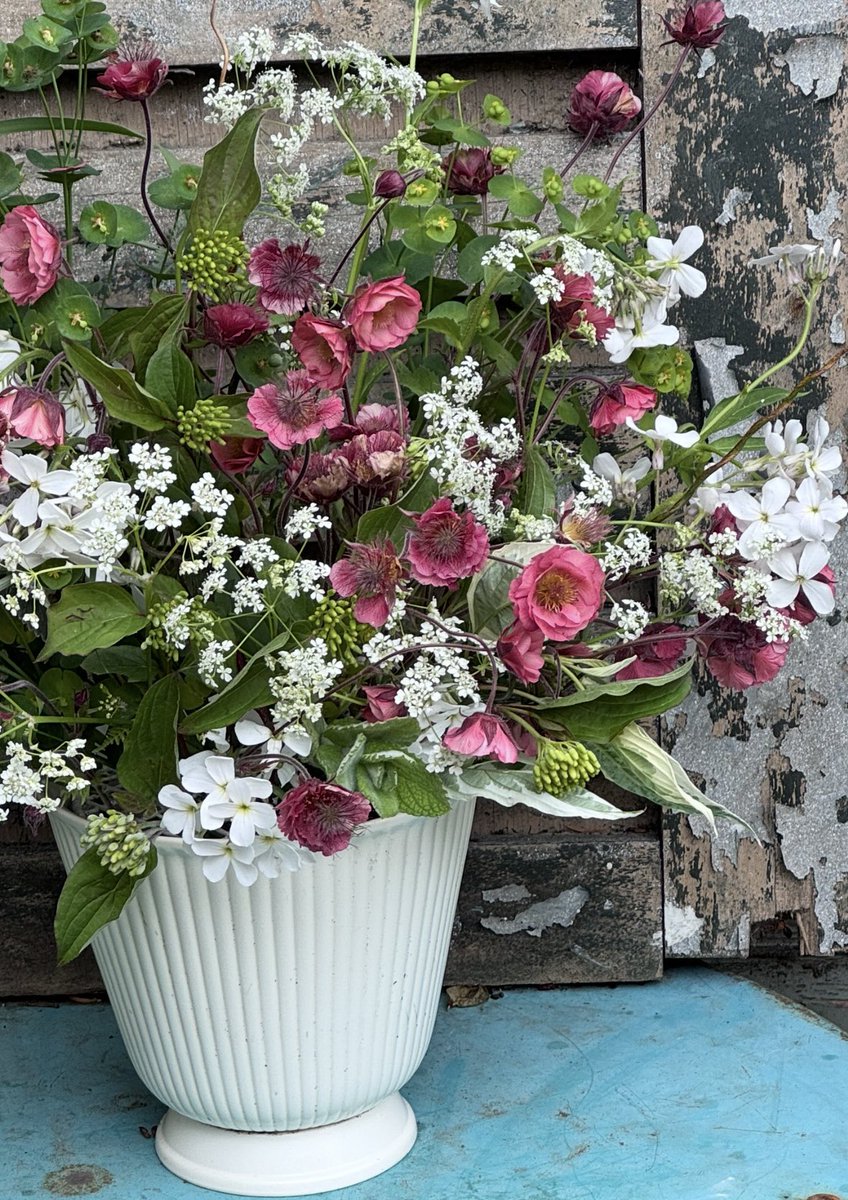 GardenBrocante's tweet photo. A considerable amount of faffing about today.
Itโs very cold for May, Iโm back in jumpers and coats!
This is an arrangement Iโm enjoying doing even though my fingers are cold.
Might be lighting the fire tonight!
Anyway hope your week has got off to a good start โค๏ธ๐ https://t.co/4l1J7gs4J0