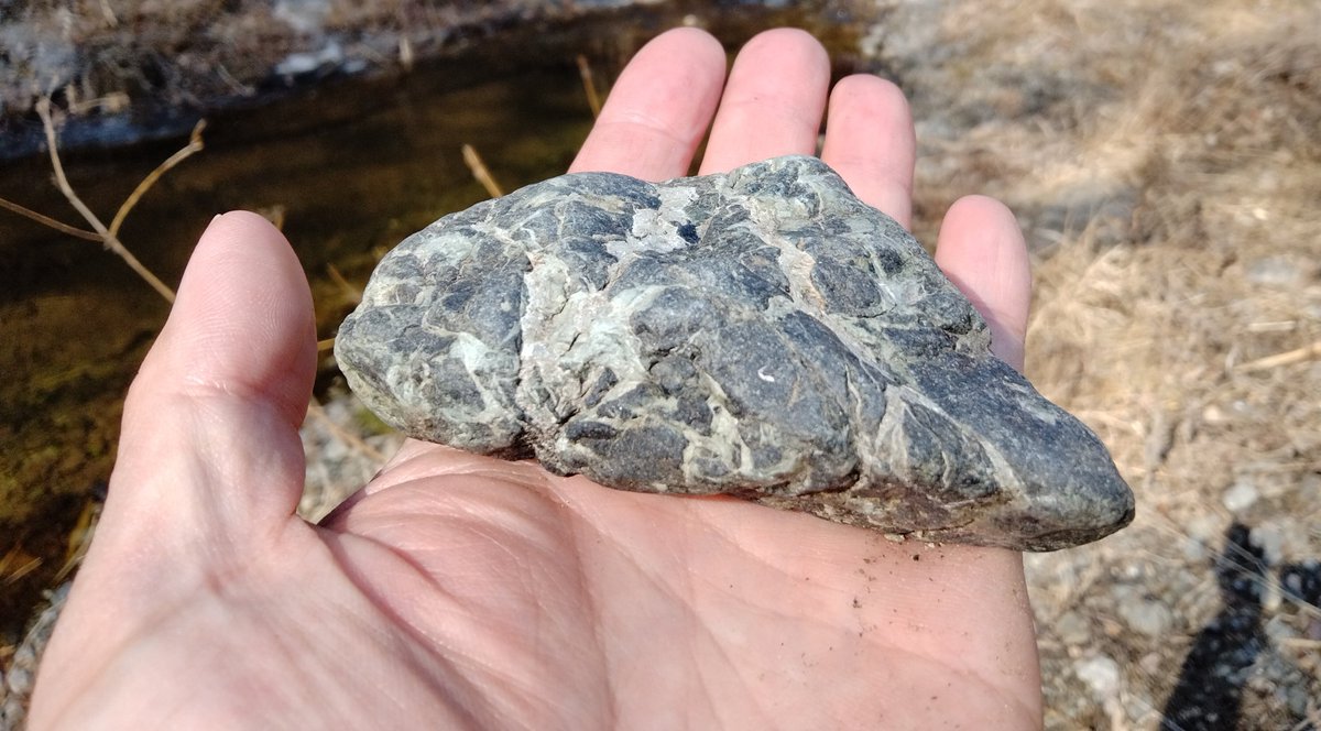 これは皆野町の河原にて 先ほどの石と比べると硬さがあり、黒っぽい色