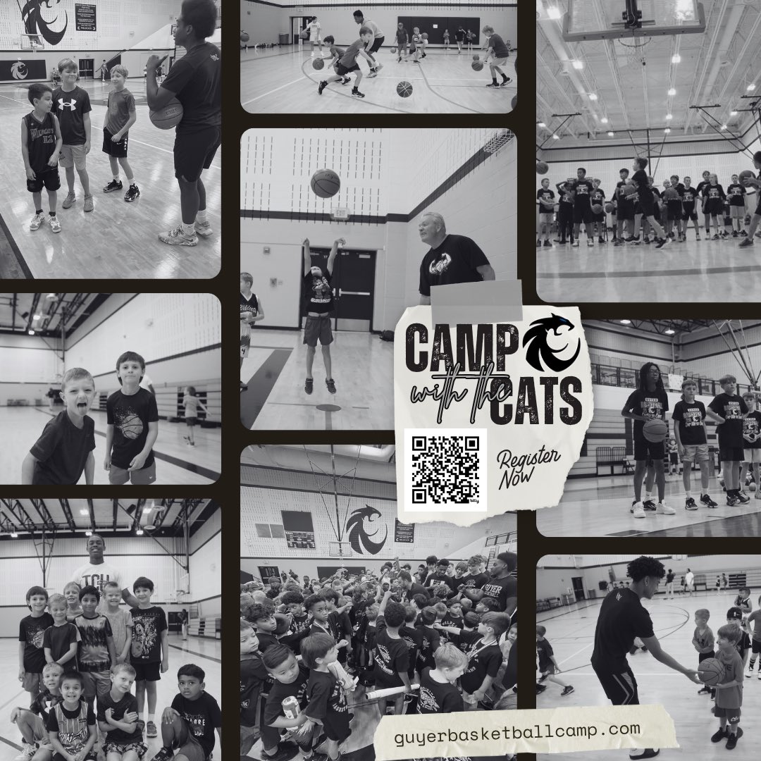 Wildcat Basketball tweet media