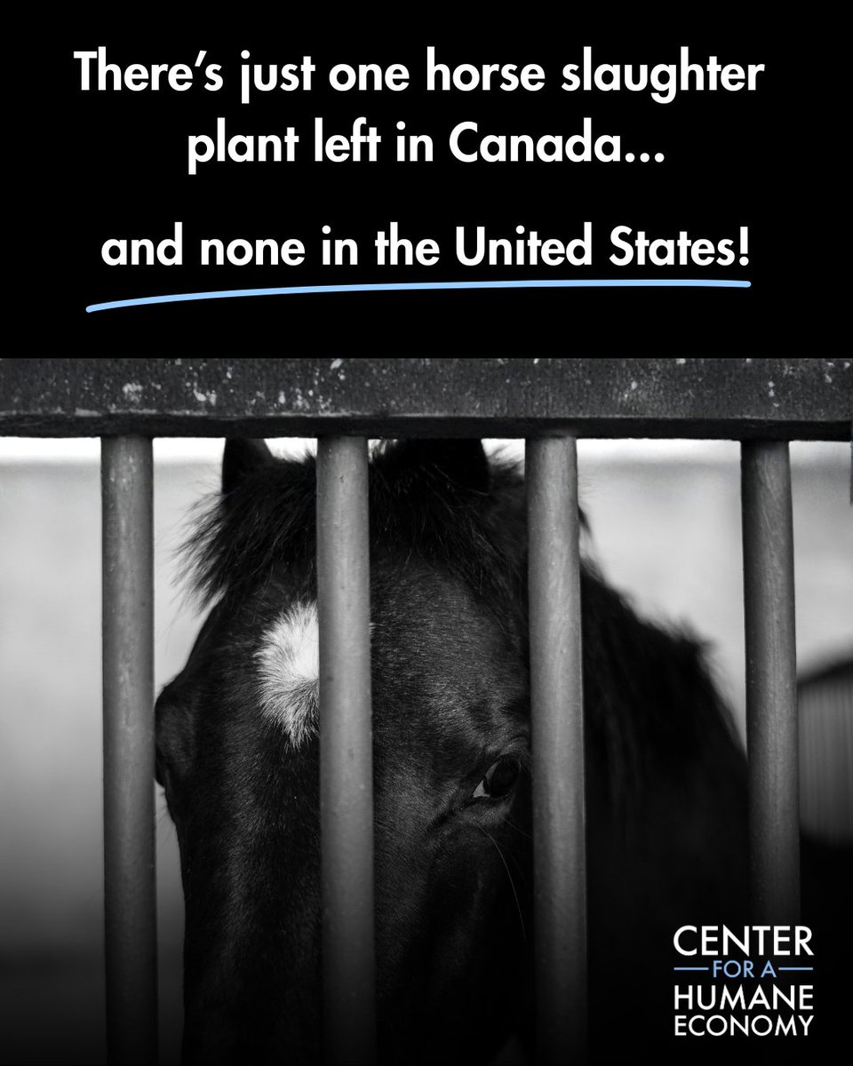 Center for a Humane Economy tweet media