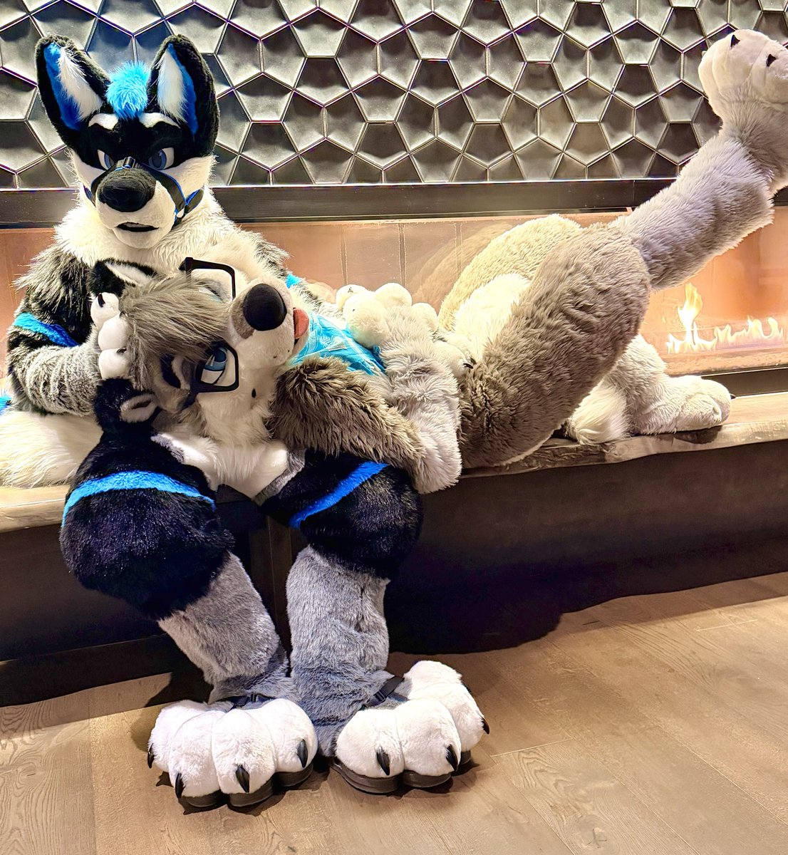 Atom the Wolf tweet media