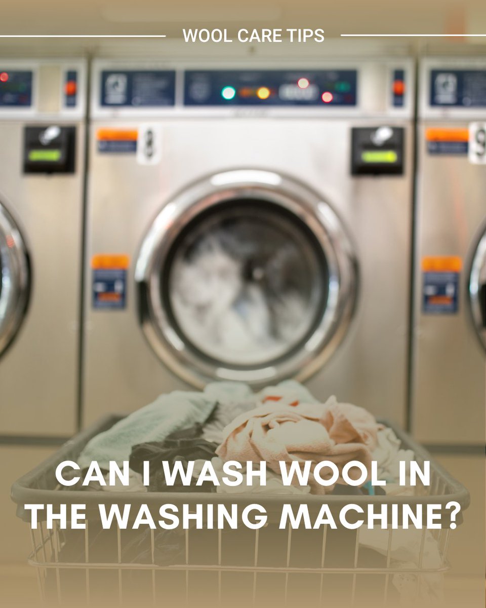 Experience Wool tweet media