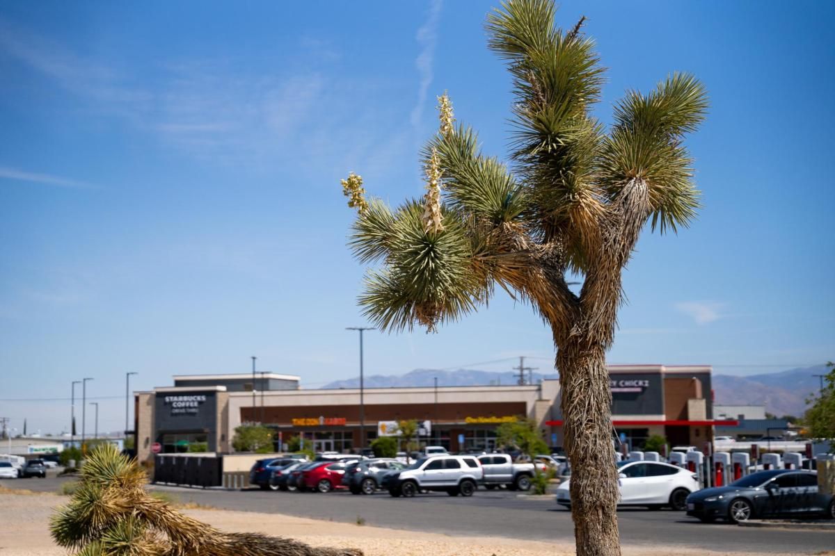 League of California Cities tweet media