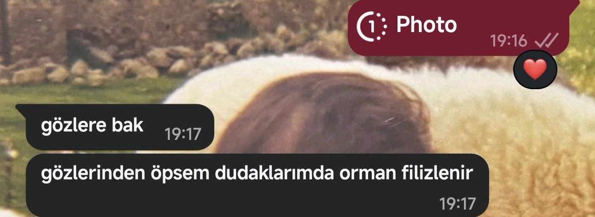 𝑚𝑎𝑛𝑜𝑙𝑖𝑎 tweet media