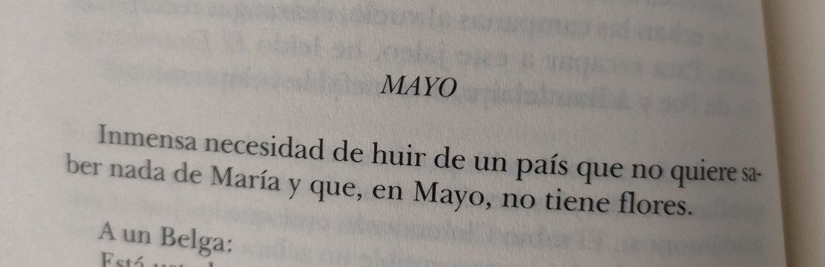 El Bataller tweet media