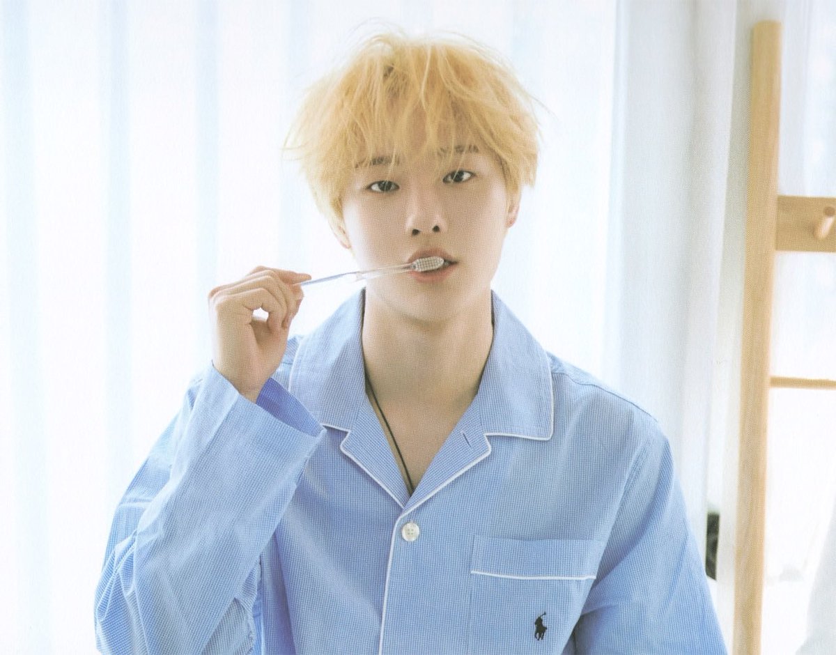 혼힘 tweet media