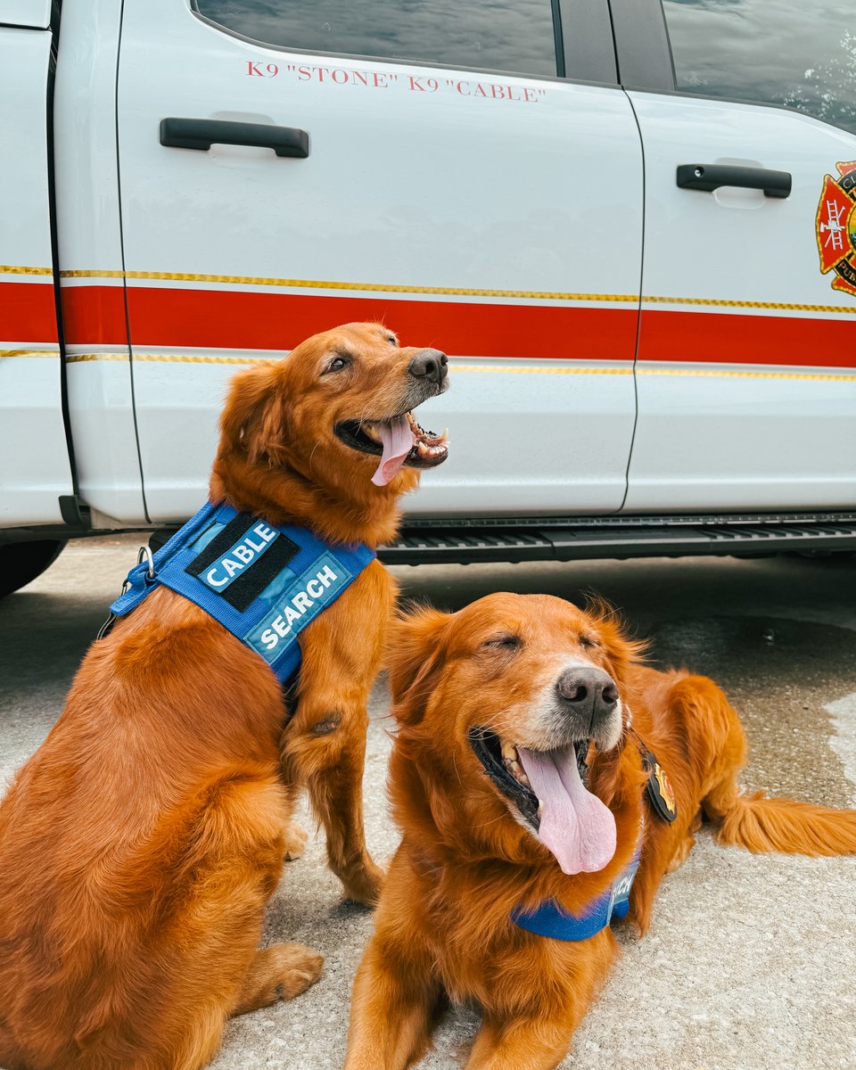 savinglives's tweet photo. Did you know? Training just one K9 can cost $10,000 or more. K9s are trusted partners and proven lifesavers. From tracking missing persons to detecting hazards, these dogs are essential to first responders. Many departments don’t have the funding to support K9 units, which is why we’re proud to help provide the resources they need to serve and protect.