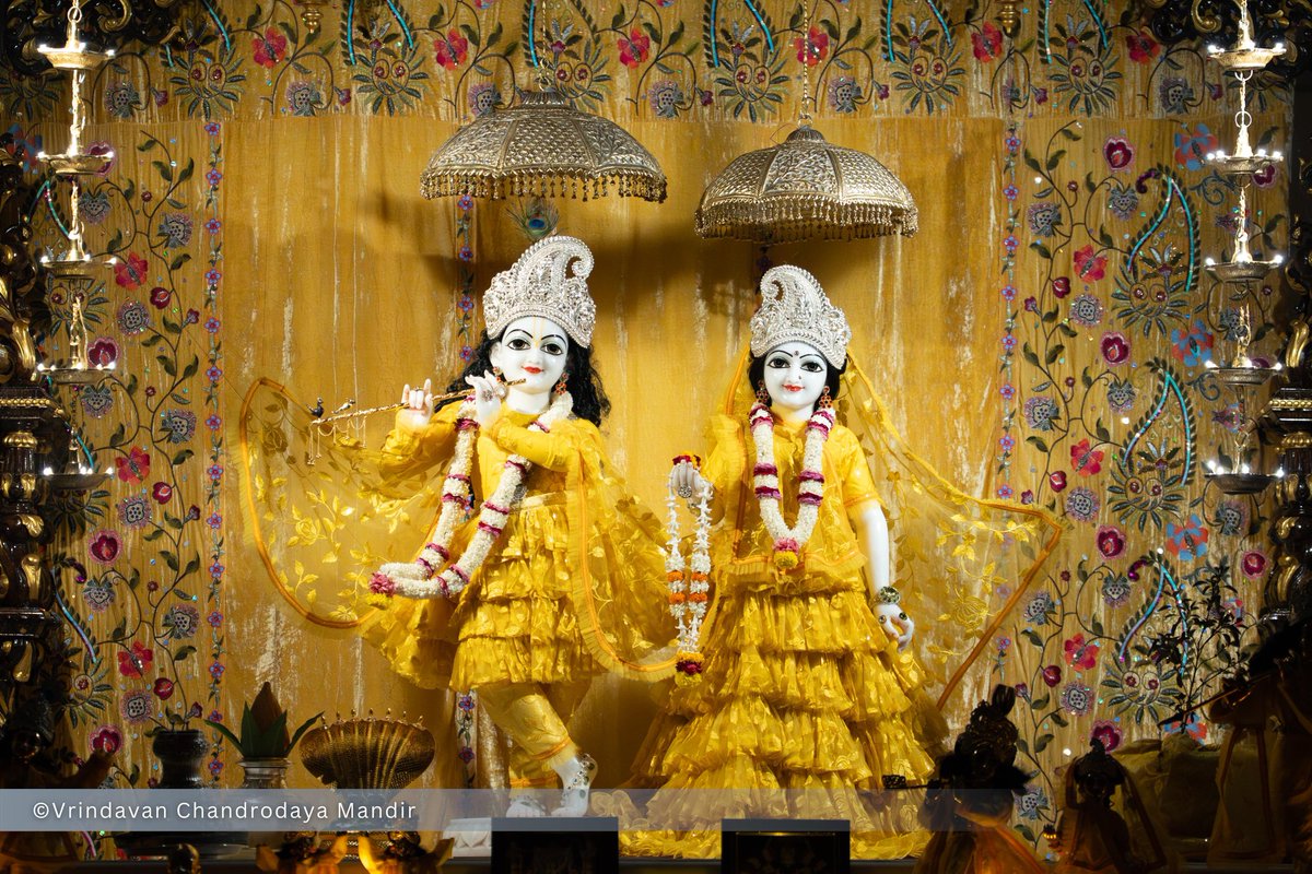 Vrindavan Chandrodaya Mandir tweet media