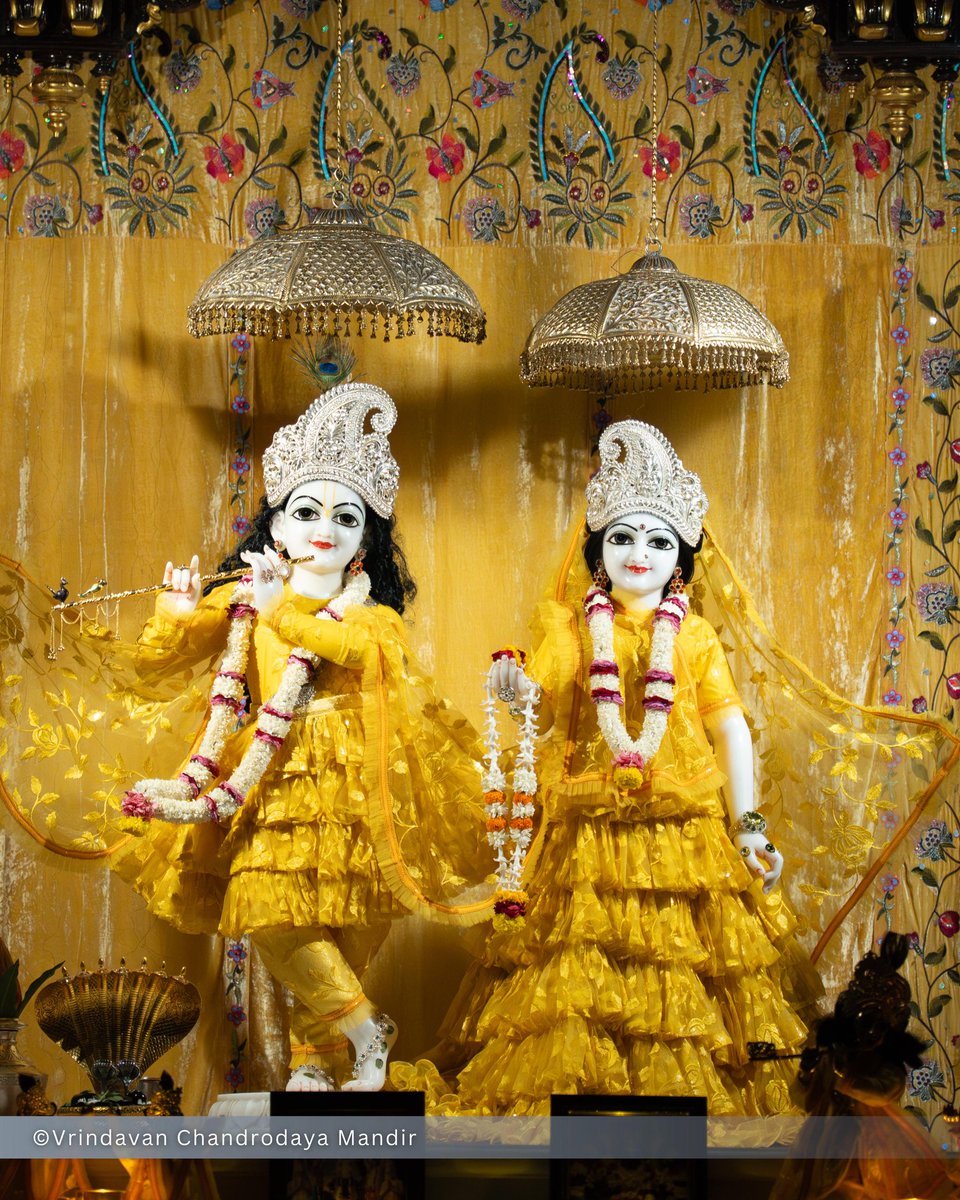 Vrindavan Chandrodaya Mandir tweet media