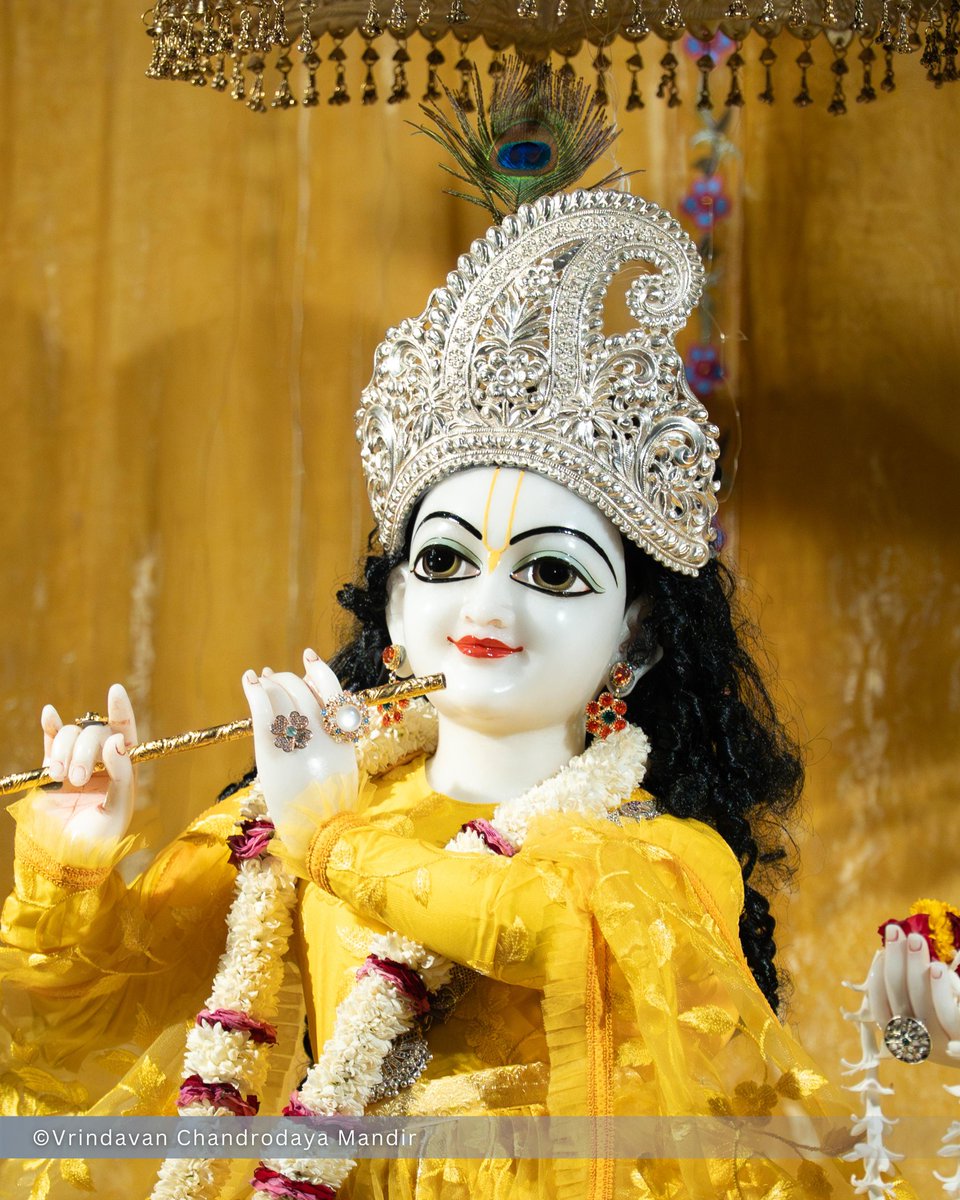 Vrindavan Chandrodaya Mandir tweet media