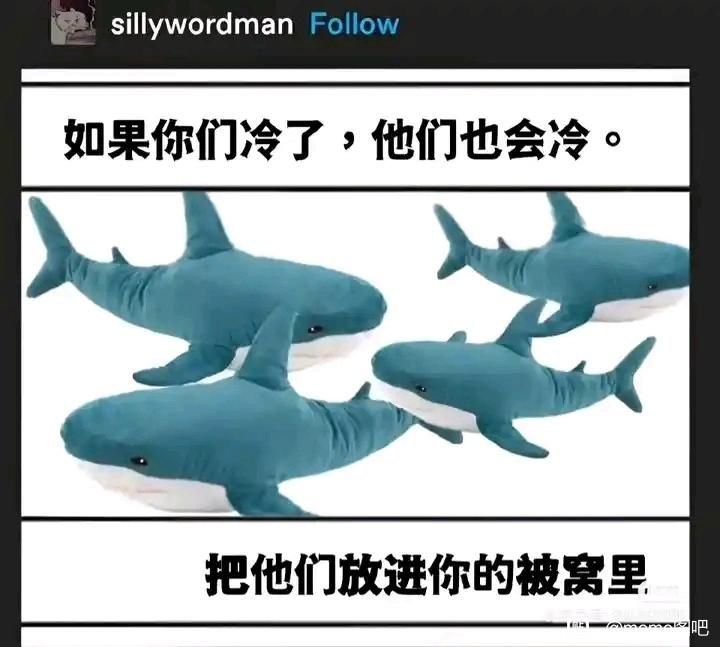 沫柠 tweet media