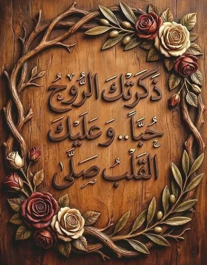 seif5170's tweet photo. https://t.co/uFbZIoR7j7