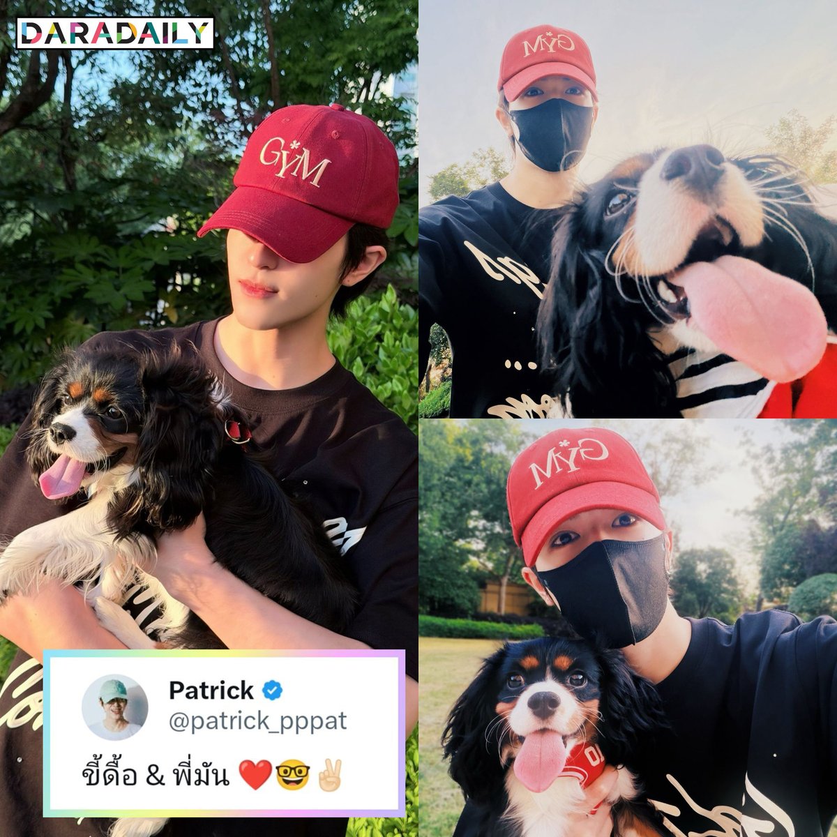 daradaily tweet media