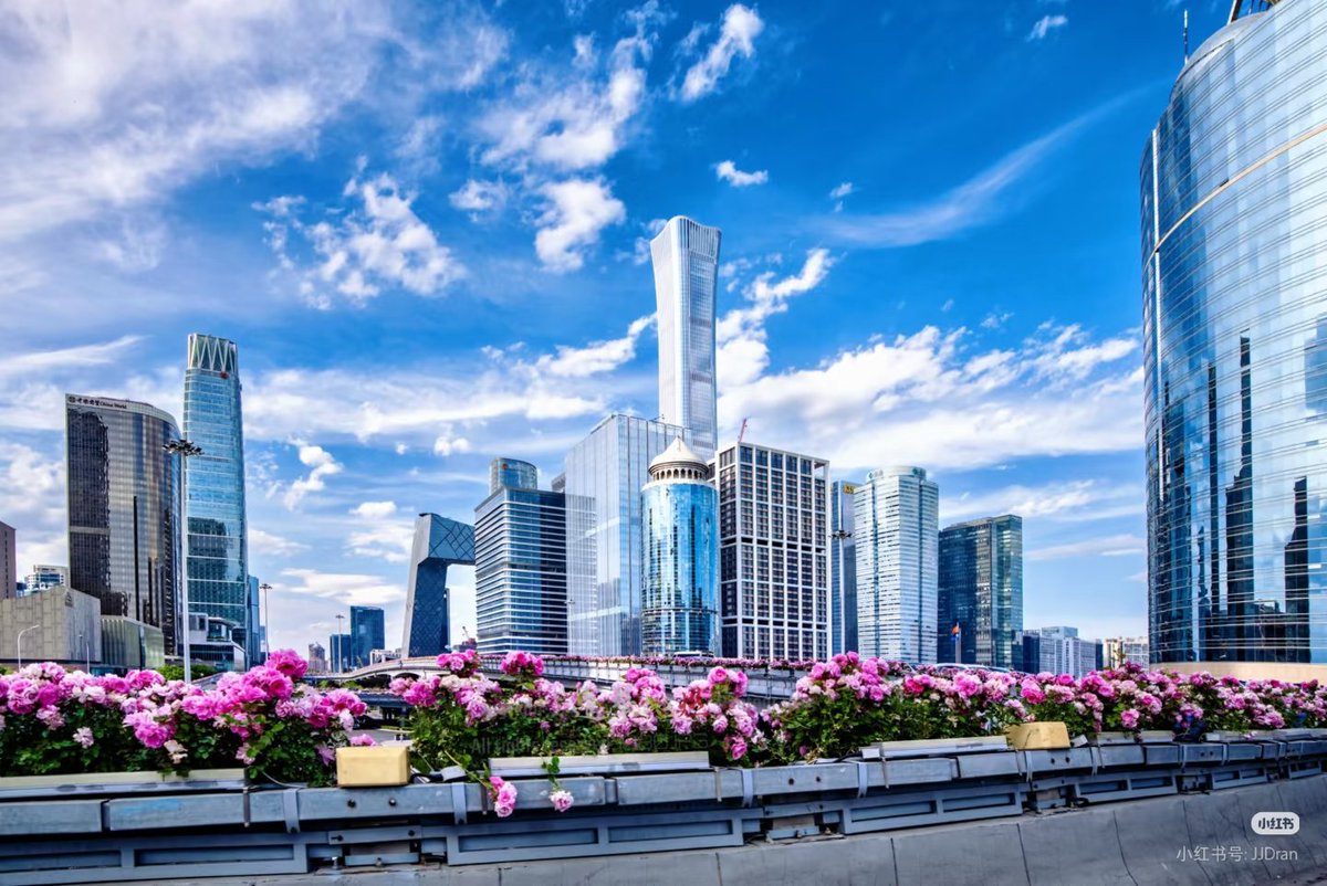 Zhu Jingyang tweet media