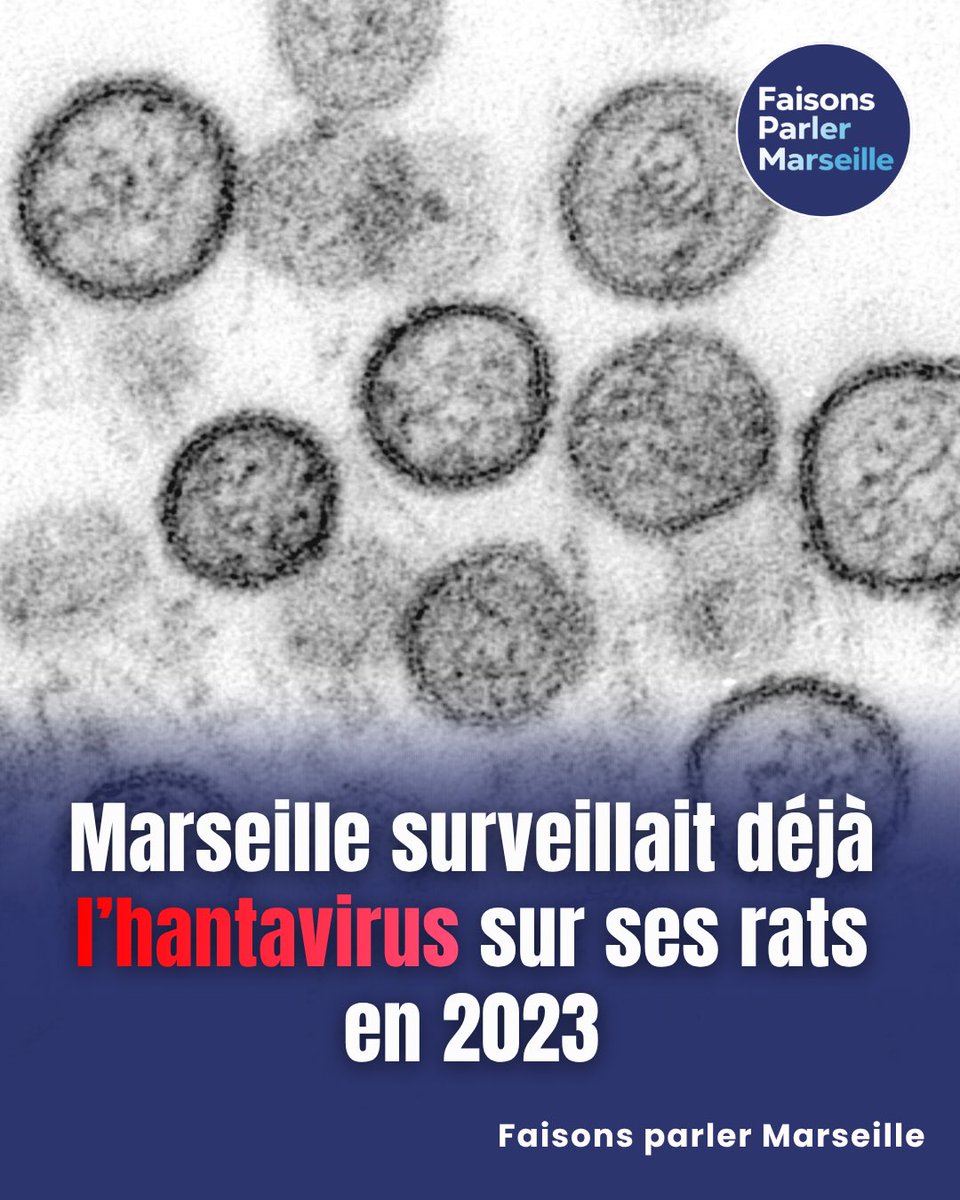 Faisons parler Marseille tweet media