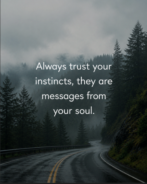 Mindful_Whispe's tweet photo. “Your soul already knows.” 🌫️ https://t.co/jzhI3Ztnei