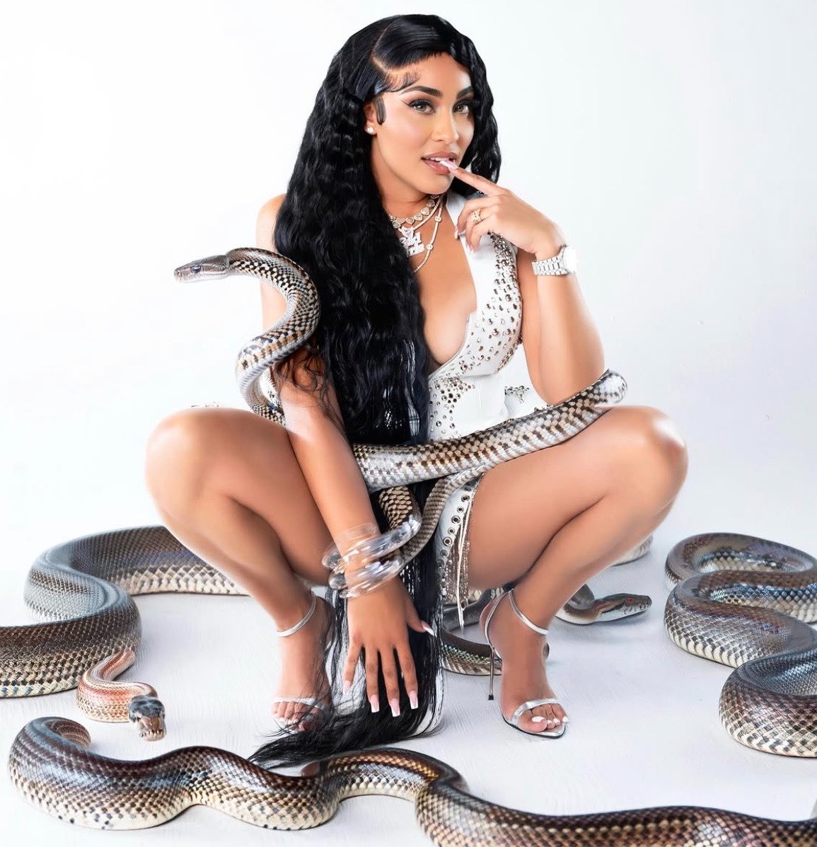 OnlyGettingBags's tweet photo. Smile in your face, hiss behind your back https://t.co/eVjH8mUBP5