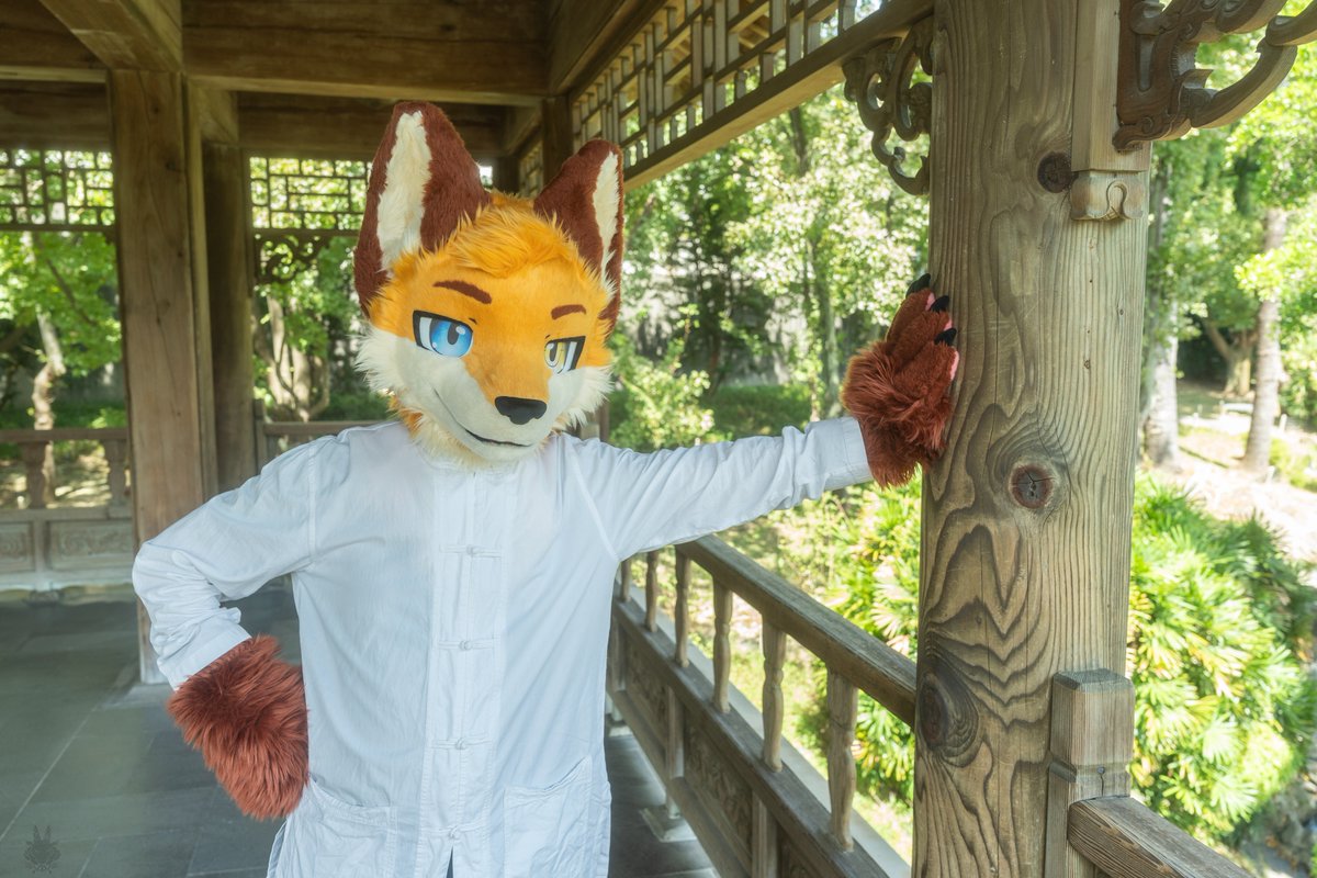 Raywolf_the_Fox's tweet photo. 我的天啊看看現在都甚麼時候了，
該來發毛五(遲)了 ((?

It's time for some FursuitFriday (late)

📷： @Take82168451 
🎨：赤雪豹
#FursuitFriday (late)  #FursuitEveryday https://t.co/BSdySH6Mn6