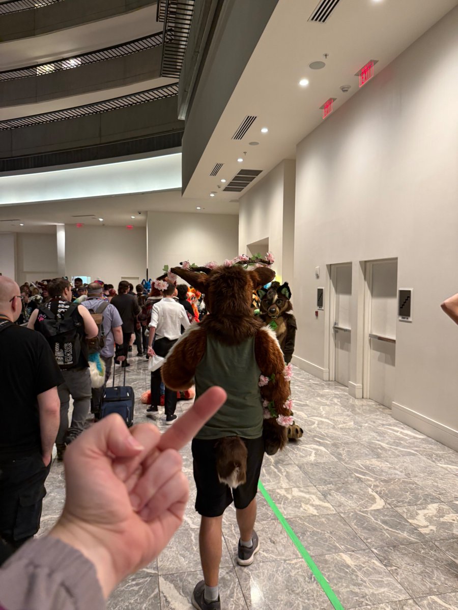 Stormchsingwolf's tweet photo. I honestly think this may have been my favorite FWA to date. Having the con spread out was a Godsend.

Hung out with lots of amazing friends, stole fursuit heads, and generally roamed with @CryptidWynn. Exodus fursuit debut in 27 perhaps?? 🤔 https://t.co/EMedSjgYK6