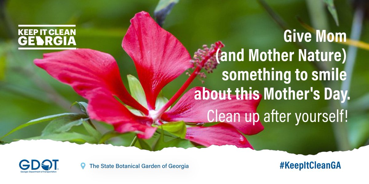 Georgia DOT tweet media