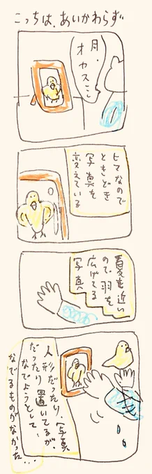 こ 