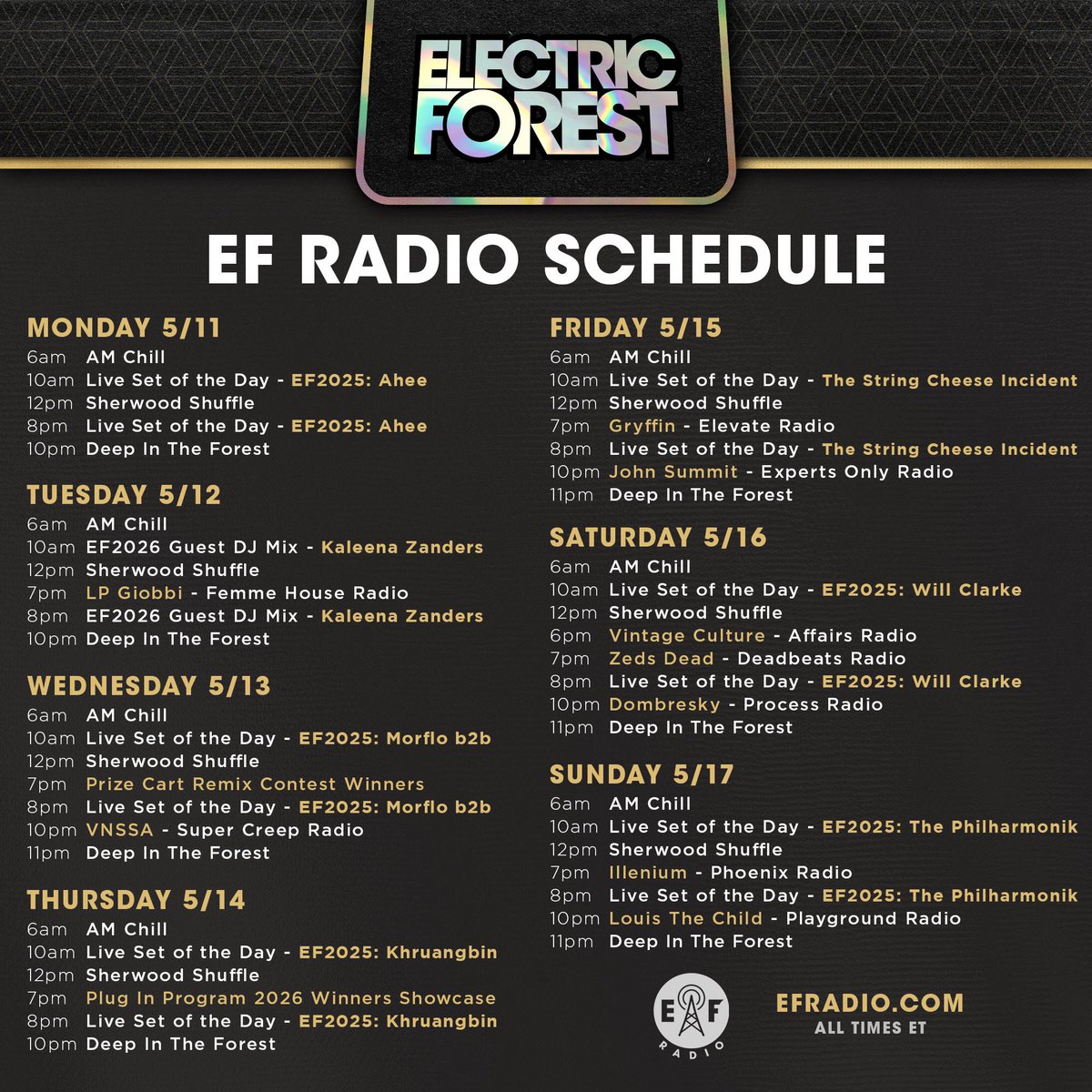 Electric Forest ⚡🌲 tweet media