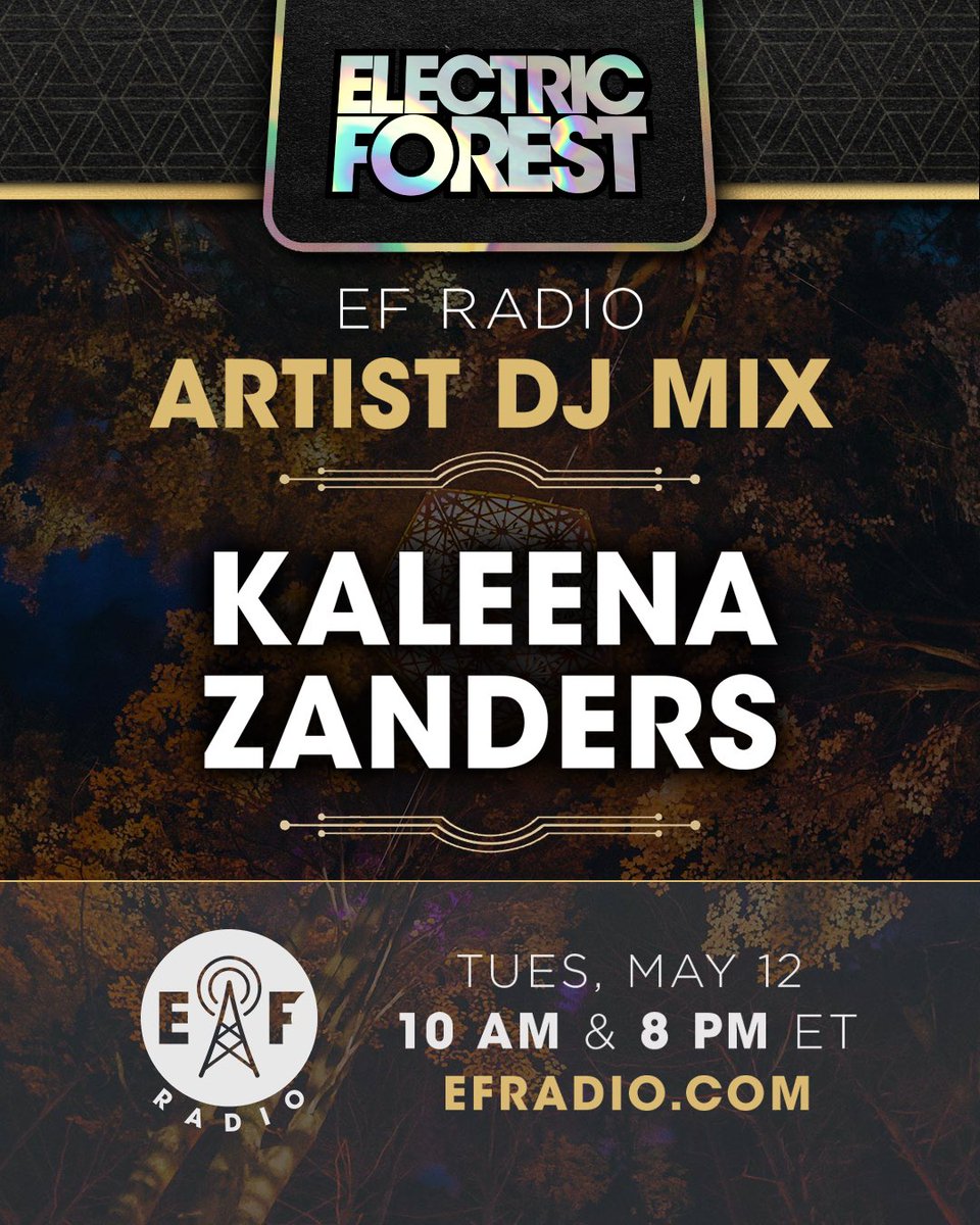 Electric Forest ⚡🌲 tweet media