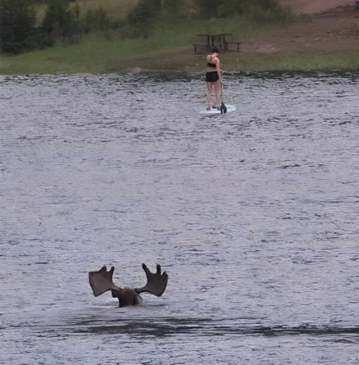 If Jaws was filmed in Canada: