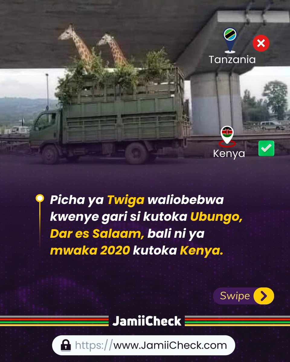 Jamii Check tweet media