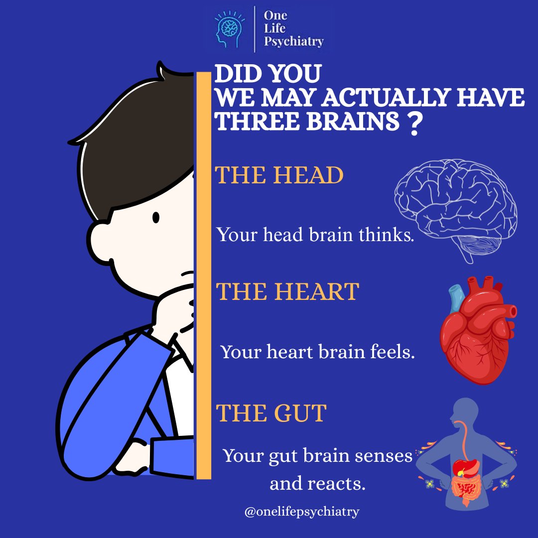 onelifepsych's tweet photo. Science continues to explore the powerful connection between the brain, heart, and gut and how they influence mood, stress, decision-making, and overall mental health.

Join us at @onelifepsych in breaking mental health stigma.

#mentalhealthawareness #brainhealth https://t.co/BJyg2dGHJh