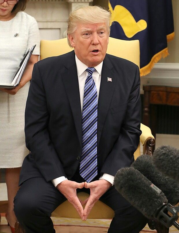 Perlina Trump tweet media