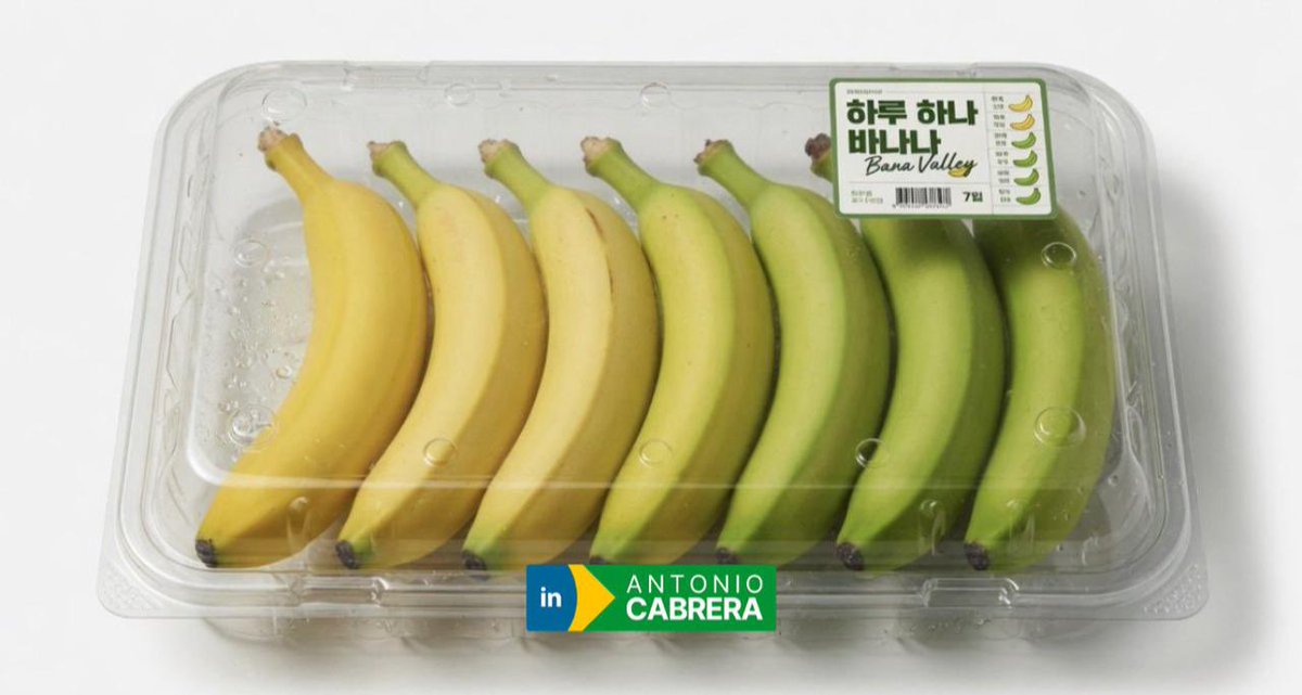 cabreraagro's tweet photo. Sempre defendi que não basta produzir bem (o que fazemos muito bem).
Temos que transportar bem (o que não fazemos) ou até mesmo vender bem.
O produtor que ignorar o cliente irá falhar.
A motivação do lucro faz maravilhas por fazer com que eles se importem.
Veja o que o mercado coreano está oferecendo.

Eles estão agora vendendo pacotes de bananas "uma por dia"! 
Em vez de todas as bananas amadurecerem ao mesmo tempo, cada uma está em um estágio diferente. 
Uma está pronta hoje. A próxima estará pronta amanhã. E assim por diante.
Que tal?
#Agro #frutas #banana