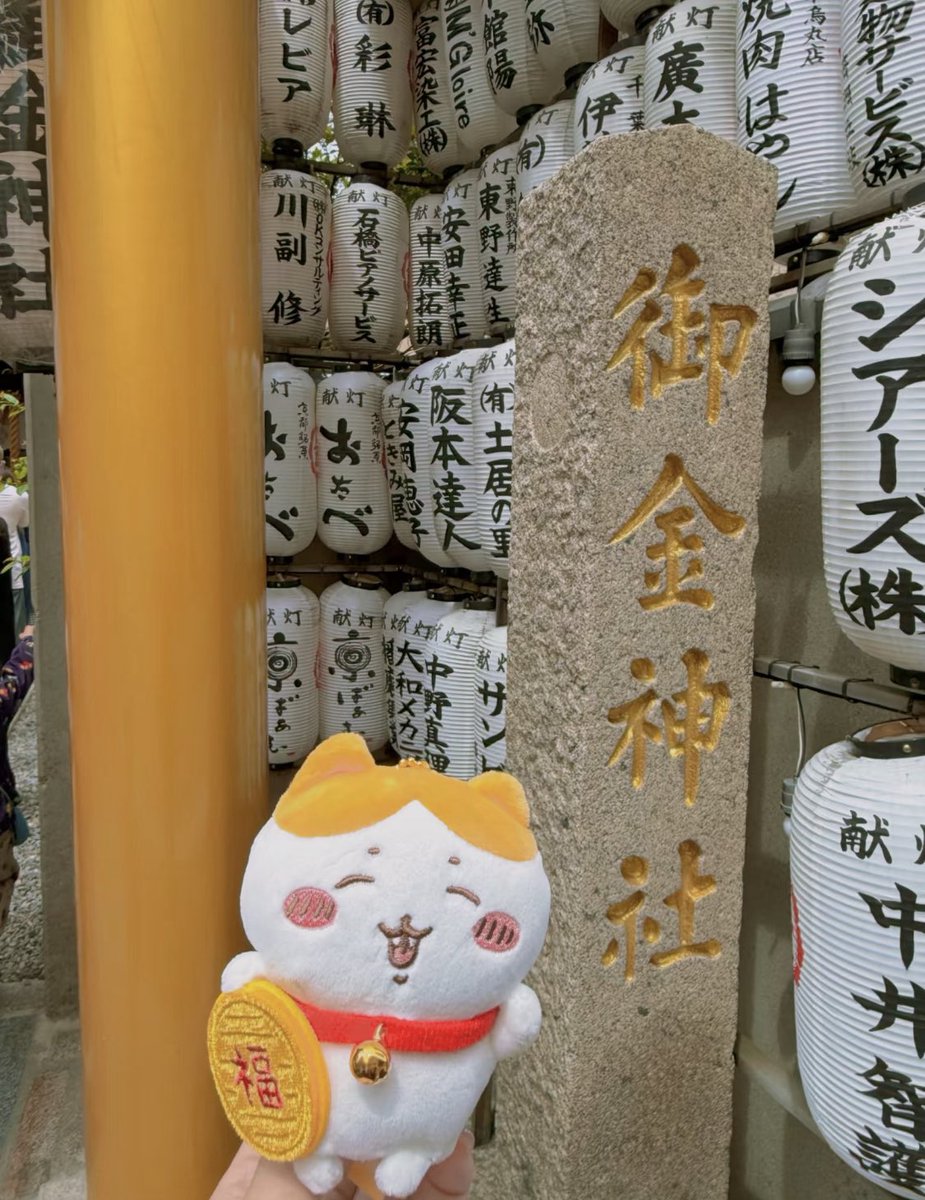 成瀬 健太郎 tweet media