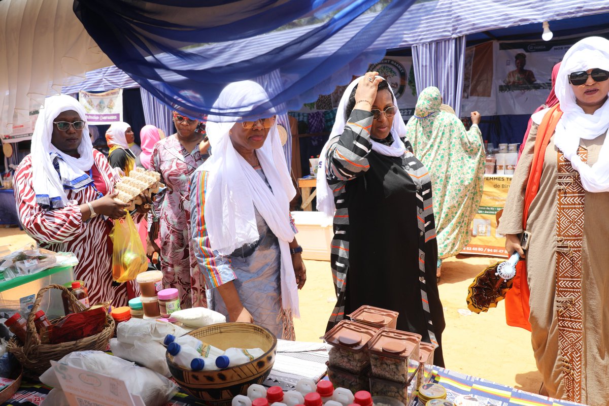 PNUD Niger tweet media