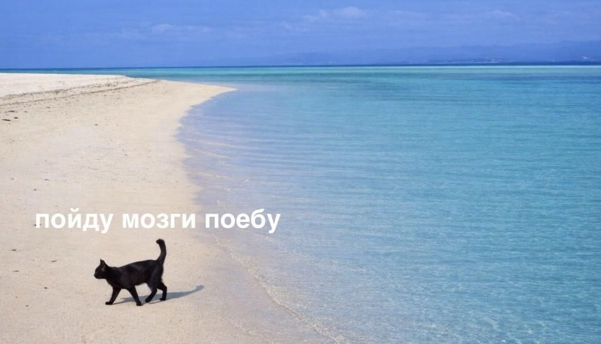 catsilcats's tweet photo. планы на сегодня https://t.co/NKqGXFzt42